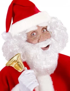 Barbe Père Noël Adulte