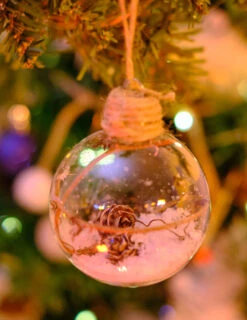 Boule De Noël En Verre Avec Pommes De Pin 6 Cm -Decoration Magasin boule de noel en verre avec pommes de pin 6 cm 334797 6